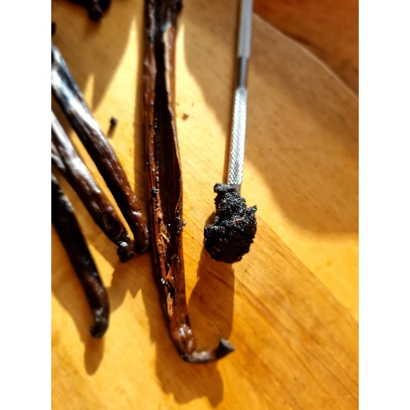 Bourbon Vanilleschoten (5 Stk. - 14-16cm) 100% Gourmet aus Madagaskar