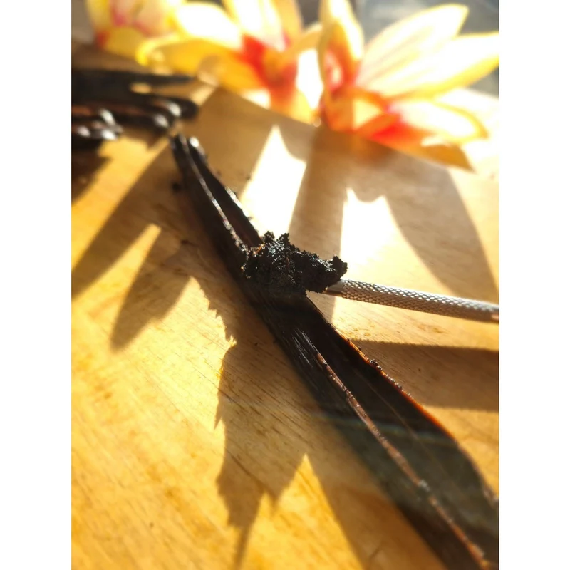 Südsee Tahiti Vanilleschoten - Vanilla Tahitensis (10-12cm) - Top Gourmet Qualität (5-100 Stück)
