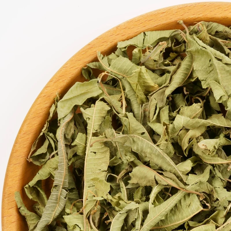 Eisenkraut "Verveine"