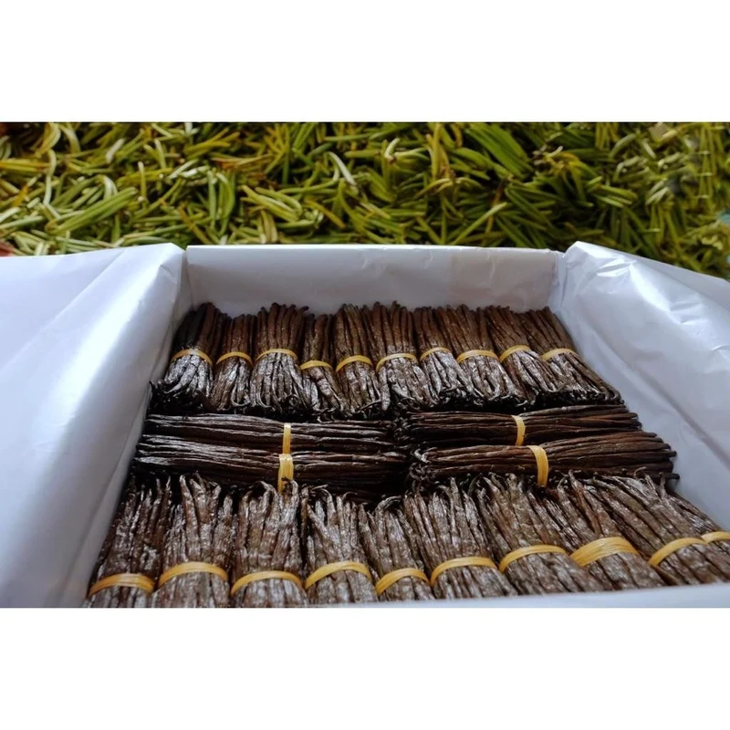 Jumbo Bourbon Vanille Schoten XXL (50x 20-23 cm) Top Gourmet Qualität - Grade A 100% natural aus Madagaskar