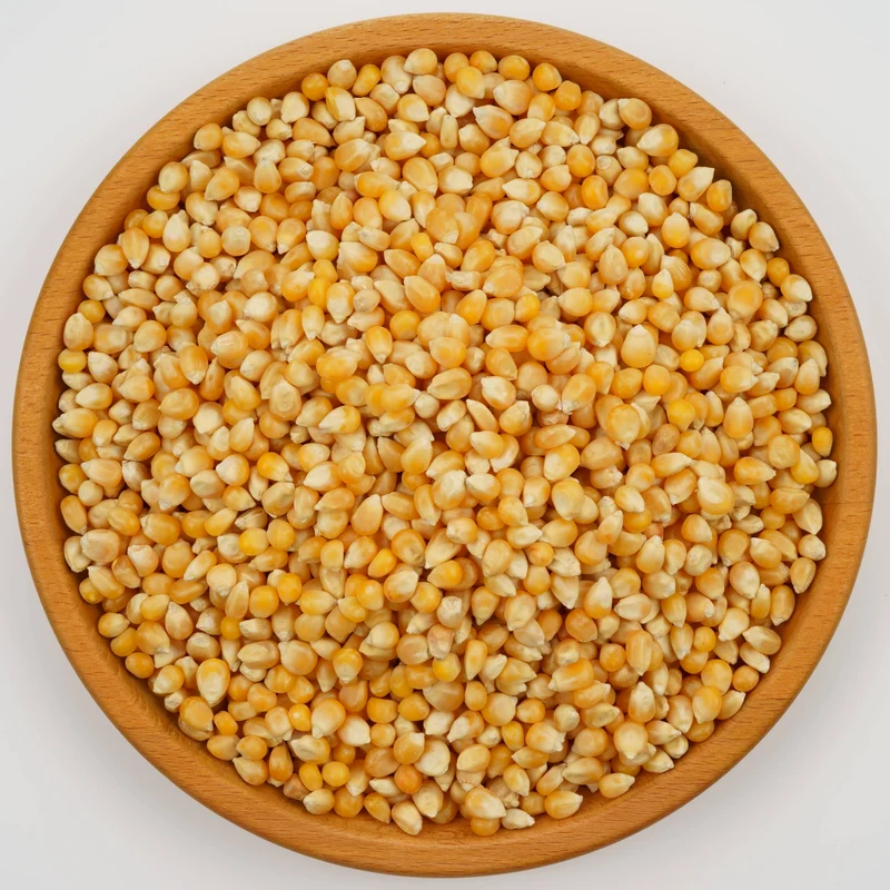 Popcorn -Mais-