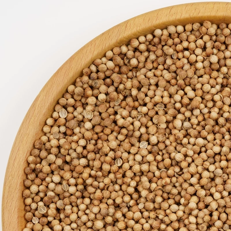 Coriander ( Koriander )