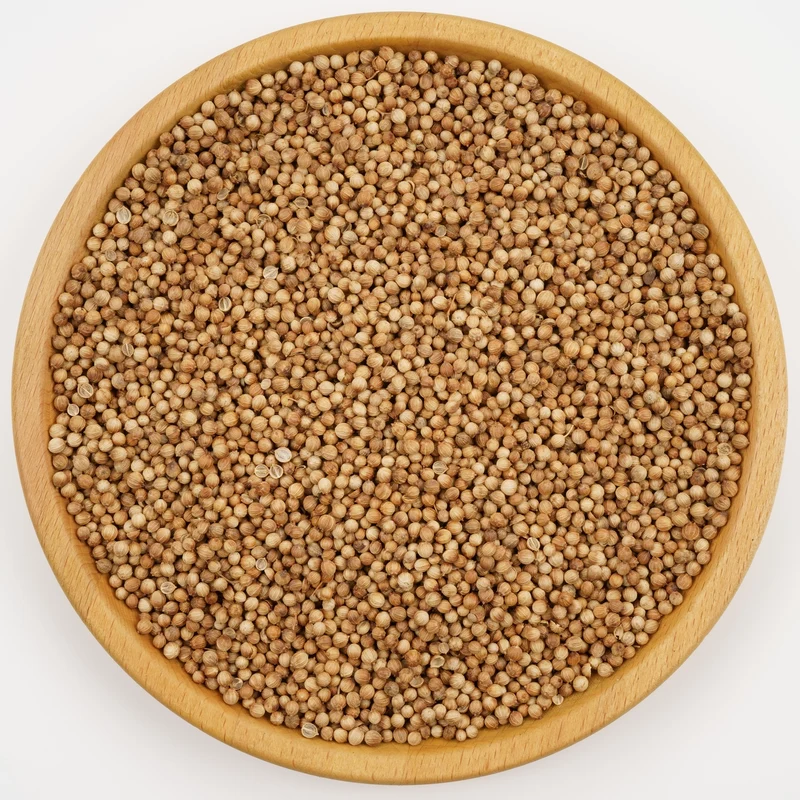 Coriander ( Koriander )