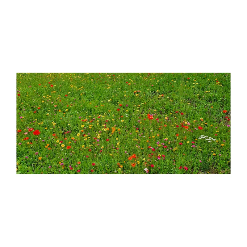 Bienenweide im Oster-Eierkarton Blumen – Geschenkset
