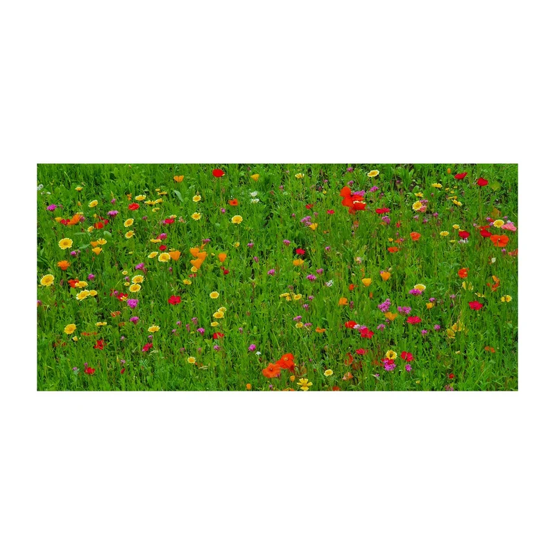 Oster-Blumenwiese, 3 Saatkugeln im Säckchen – Geschenkset