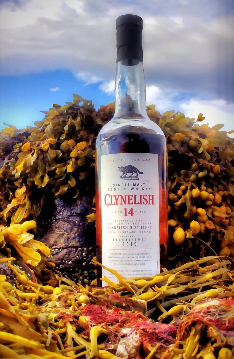 Clynelish 14