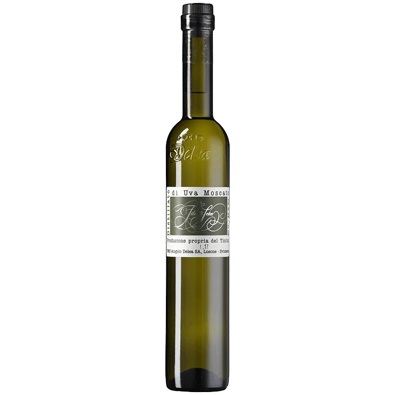 Filo di Seta