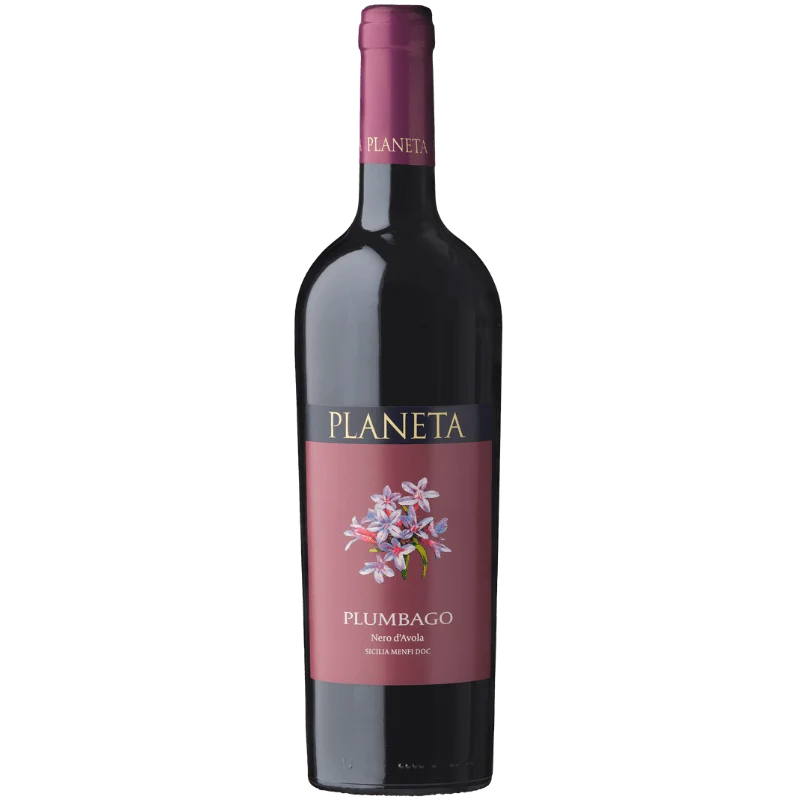 Plumbago Nero d'Avola Sizilien Menfi DOC