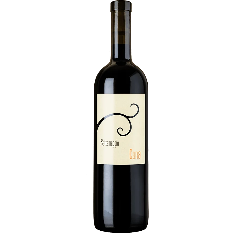 Cana Bianco IGT aus der italienischen Schweiz