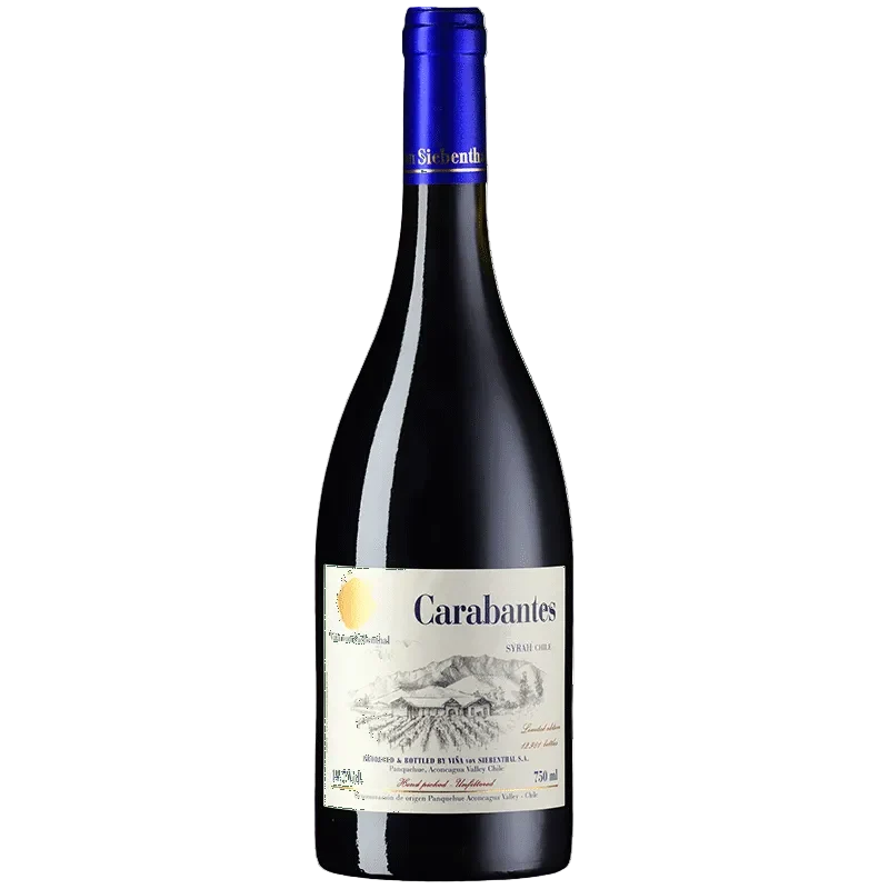 Carabantes Syrah Rot Chile DO