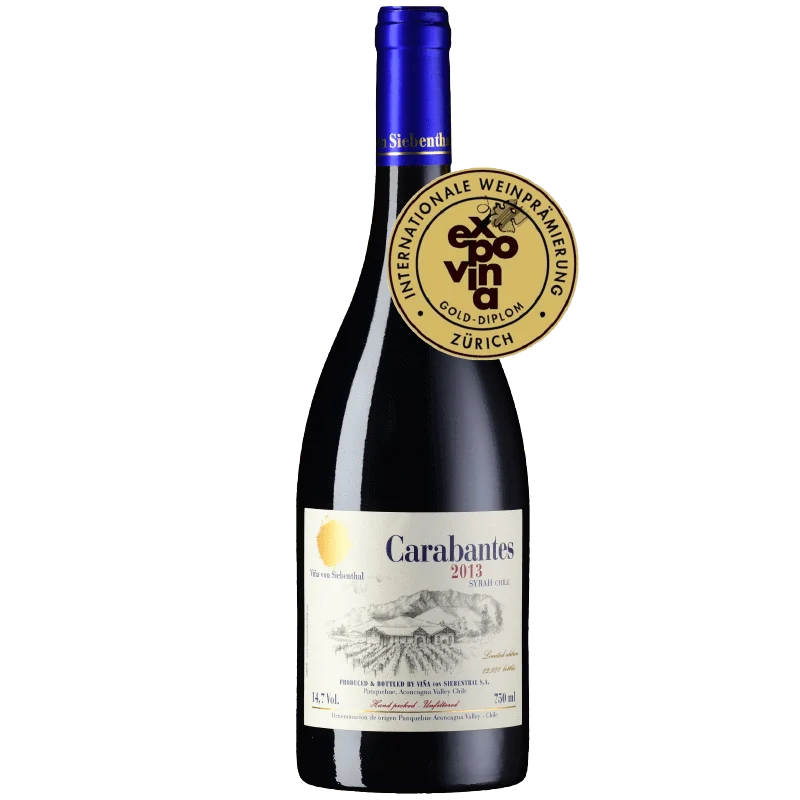 Carabantes Syrah Rot Chile DO