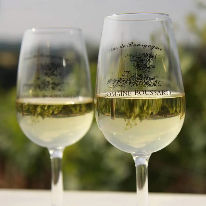 Domaine Boussard Bourgogne Chardonnay Cuvée Les Pierres Blanches 2023