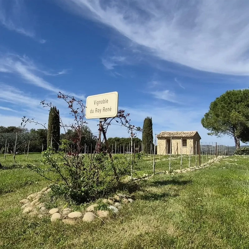 Château de Libran 2025 Roséwein