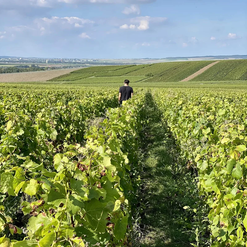 Lucien Roguet No. 5 Rose Grand Cru Champagne