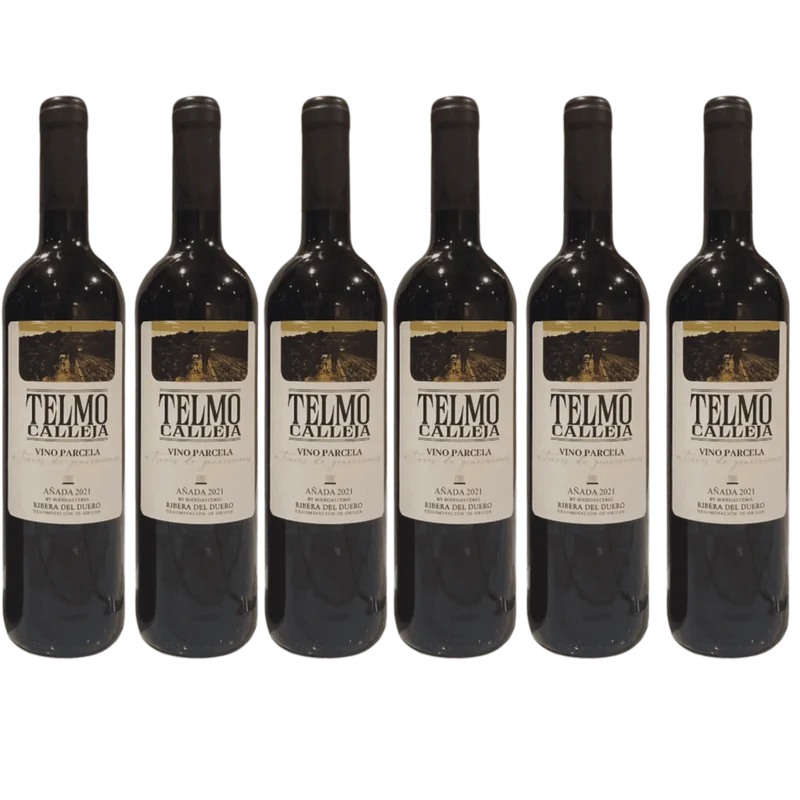 6 Flaschen Telmo Calleja Ribera del Duero Rotwein