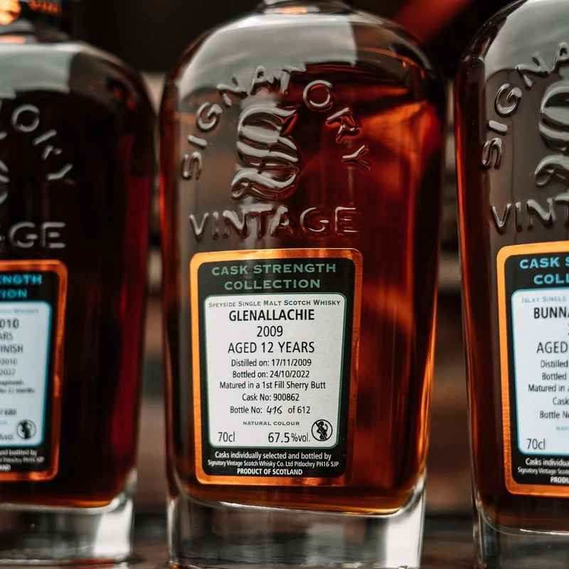 GlenAllachie | 12 Jahre | 2009/2022 | Signatory Vintage Collection | Sherry #900862 | 67,5%