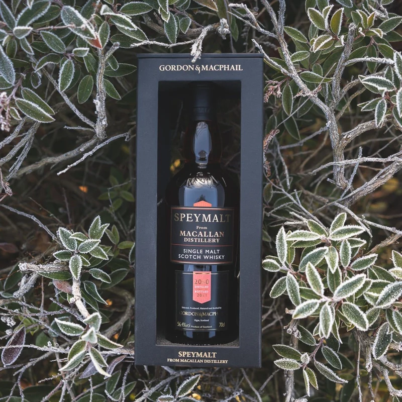 The Macallan | 20-21 Jahre | 2000/2021 | #1756 | Gordon & MacPhail | Speymalt | 56,4%