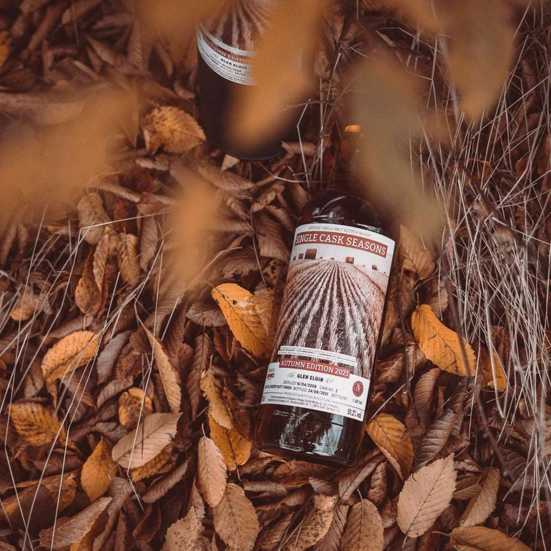 Glen Elgin | 13 Jahre | 2008/2021 | Autumn Edition 2021 Signatory Single Cask Seasons | 51,2%