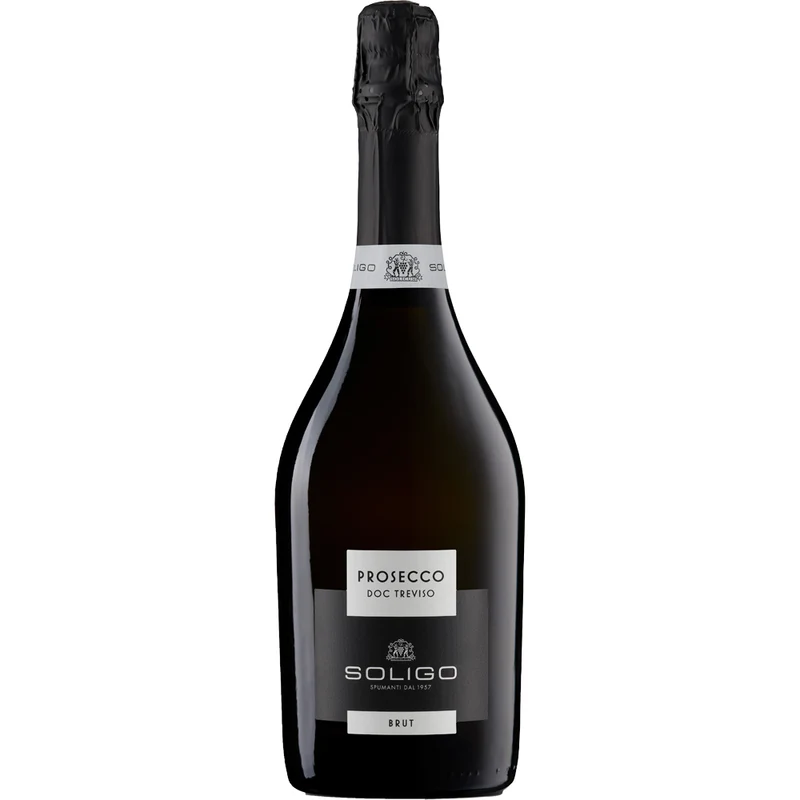 Colli del Soligo Prosecco DOC Treviso Brut 0,75 Liter